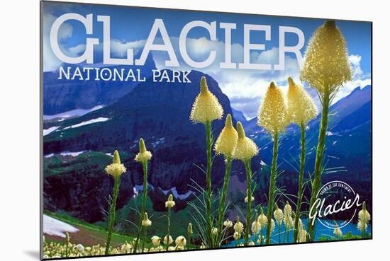 Glacier National Park, Montana - Beargrass in Bloom-Lantern Press-Mounted Art Print