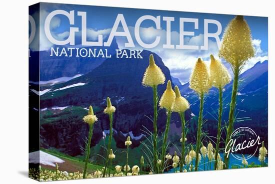 Glacier National Park, Montana - Beargrass in Bloom-Lantern Press-Stretched Canvas