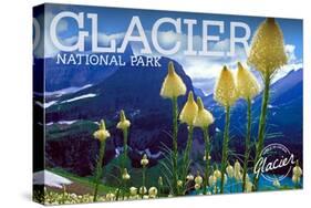 Glacier National Park, Montana - Beargrass in Bloom-Lantern Press-Stretched Canvas