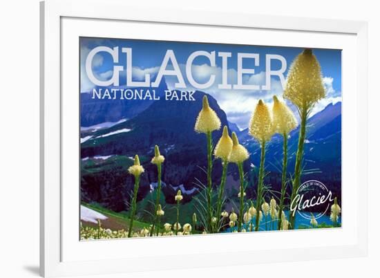 Glacier National Park, Montana - Beargrass in Bloom-Lantern Press-Framed Art Print