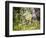 Glacier National Park, Montana. Coyote-Yitzi Kessock-Framed Photographic Print