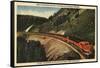 Glacier National Park, Montana - Empire Builder Train-Lantern Press-Framed Stretched Canvas