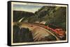 Glacier National Park, Montana - Empire Builder Train-Lantern Press-Framed Stretched Canvas