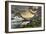 Glacier National Park, Montana - Hidden Lake and Bearhat Mountain-Lantern Press-Framed Art Print