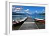 Glacier National Park, Montana - Lake McDonald Dock-Lantern Press-Framed Art Print