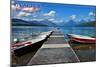 Glacier National Park, Montana - Lake McDonald Dock-Lantern Press-Mounted Art Print