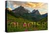Glacier National Park, Montana - Sunset and Flowers (Horizonal Version)-Lantern Press-Stretched Canvas