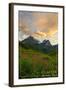 Glacier National Park, Montana - Sunset and Flowers-Lantern Press-Framed Art Print