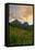 Glacier National Park, Montana - Sunset and Flowers-Lantern Press-Framed Stretched Canvas