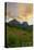 Glacier National Park, Montana - Sunset and Flowers-Lantern Press-Stretched Canvas