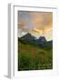 Glacier National Park, Montana - Sunset and Flowers-Lantern Press-Framed Art Print