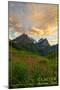 Glacier National Park, Montana - Sunset and Flowers-Lantern Press-Mounted Art Print