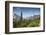 Glacier National Park, Montana, USA-Roddy Scheer-Framed Photographic Print