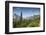 Glacier National Park, Montana, USA-Roddy Scheer-Framed Photographic Print