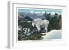 Glacier National Park, Montana, View of a Rocky Mountain Goat-Lantern Press-Framed Art Print