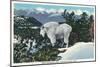 Glacier National Park, Montana, View of a Rocky Mountain Goat-Lantern Press-Mounted Art Print