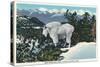 Glacier National Park, Montana, View of a Rocky Mountain Goat-Lantern Press-Stretched Canvas