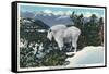 Glacier National Park, Montana, View of a Rocky Mountain Goat-Lantern Press-Framed Stretched Canvas