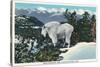 Glacier National Park, Montana, View of a Rocky Mountain Goat-Lantern Press-Stretched Canvas