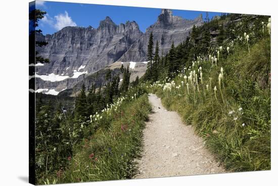 Glacier National Park, Montana-Yitzi Kessock-Stretched Canvas