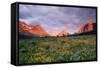 Glacier National Park-Darrell Gulin-Framed Stretched Canvas