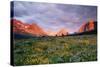 Glacier National Park-Darrell Gulin-Stretched Canvas