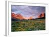 Glacier National Park-Darrell Gulin-Framed Photographic Print