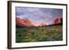 Glacier National Park-Darrell Gulin-Framed Photographic Print