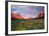 Glacier National Park-Darrell Gulin-Framed Photographic Print