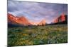 Glacier National Park-Darrell Gulin-Mounted Photographic Print