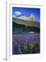 Glacier National Park-Art Wolfe-Framed Photographic Print