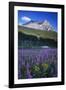 Glacier National Park-Art Wolfe-Framed Photographic Print