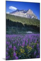 Glacier National Park-Art Wolfe-Mounted Photographic Print