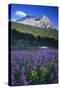 Glacier National Park-Art Wolfe-Stretched Canvas