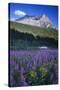 Glacier National Park-Art Wolfe-Stretched Canvas