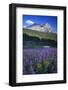 Glacier National Park-Art Wolfe-Framed Photographic Print