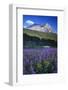 Glacier National Park-Art Wolfe-Framed Photographic Print