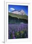 Glacier National Park-Art Wolfe-Framed Photographic Print