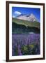 Glacier National Park-Art Wolfe-Framed Photographic Print