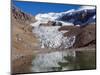 Glacier Near Plaza De Mulas Basecamp, Aconcagua Provincial Park, Andes Mountains, Argentina-Christian Kober-Mounted Photographic Print