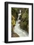 Glacier NP, Montana, USA. Avalanche Creek on Trail of the Cedars.-Janet Horton-Framed Photographic Print