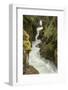 Glacier NP, Montana, USA. Avalanche Creek on Trail of the Cedars.-Janet Horton-Framed Photographic Print