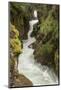 Glacier NP, Montana, USA. Avalanche Creek on Trail of the Cedars.-Janet Horton-Mounted Photographic Print