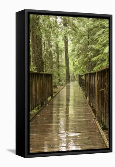 Glacier NP, Montana, USA. Trail of the Cedars bridge over Avalanche Creek.-Janet Horton-Framed Stretched Canvas