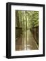 Glacier NP, Montana, USA. Trail of the Cedars bridge over Avalanche Creek.-Janet Horton-Framed Photographic Print