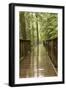 Glacier NP, Montana, USA. Trail of the Cedars bridge over Avalanche Creek.-Janet Horton-Framed Photographic Print