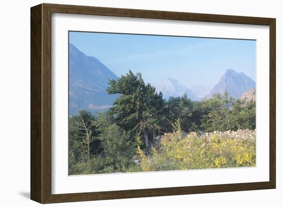 Glacier P-Gordon Semmens-Framed Photographic Print