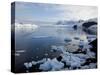 Glacier, Paradise Bay, Antarctic Peninsula, Antarctica, Polar Regions-Thorsten Milse-Stretched Canvas