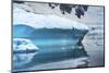 Glacier, Paradise Bay, Skontorp Cove, Antarctica. Glacier is blue because air is squeezed out-William Perry-Mounted Photographic Print