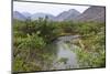 Glacier river, Yttygran Island, Bering Sea, Russia Far East-Keren Su-Mounted Photographic Print